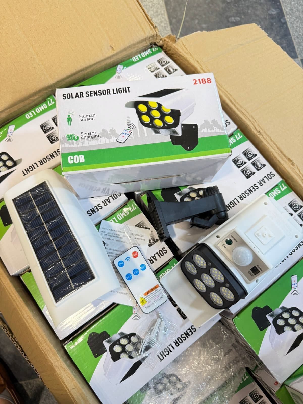 Solar Sensor Light
